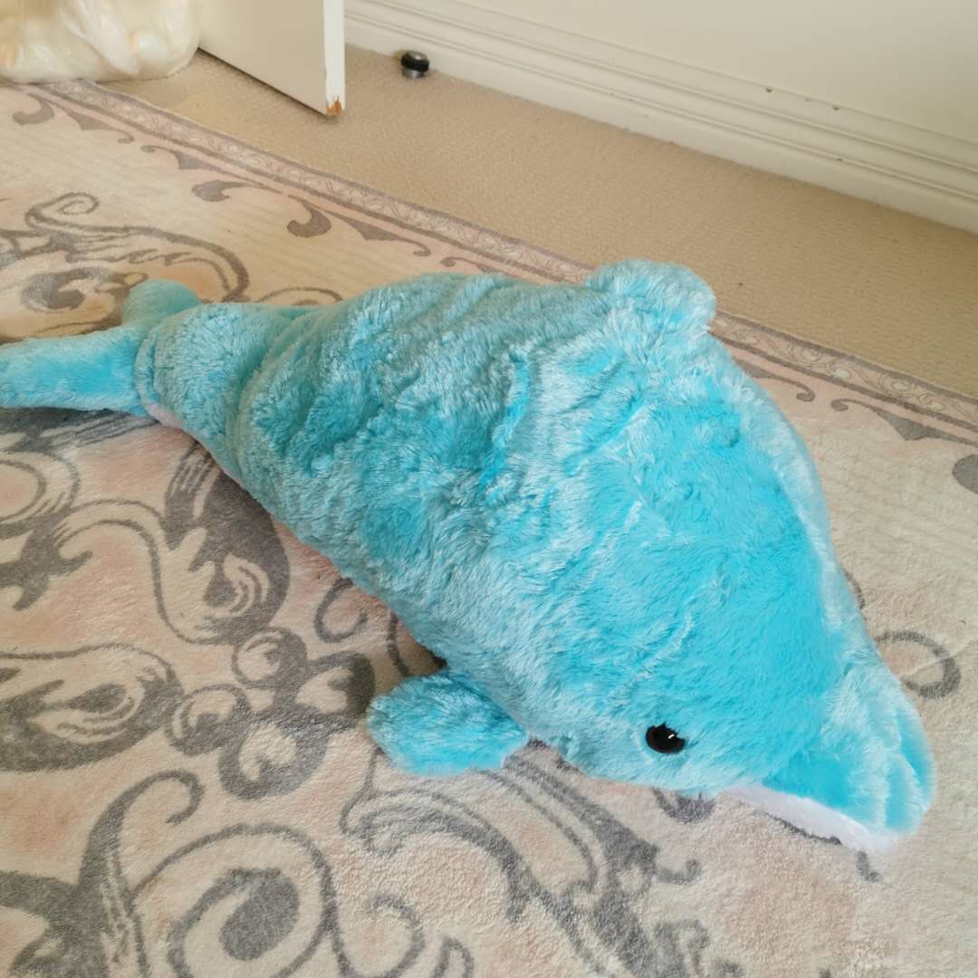 Dolphin 80cms